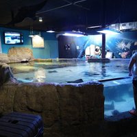 Austin Aquarium - All You Need to Know BEFORE You Go