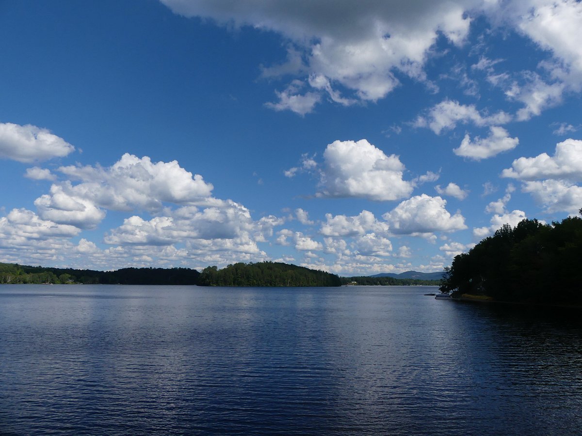 Floating Water Quality Islands in Hicklin Lake, White Center - Canadian Pond