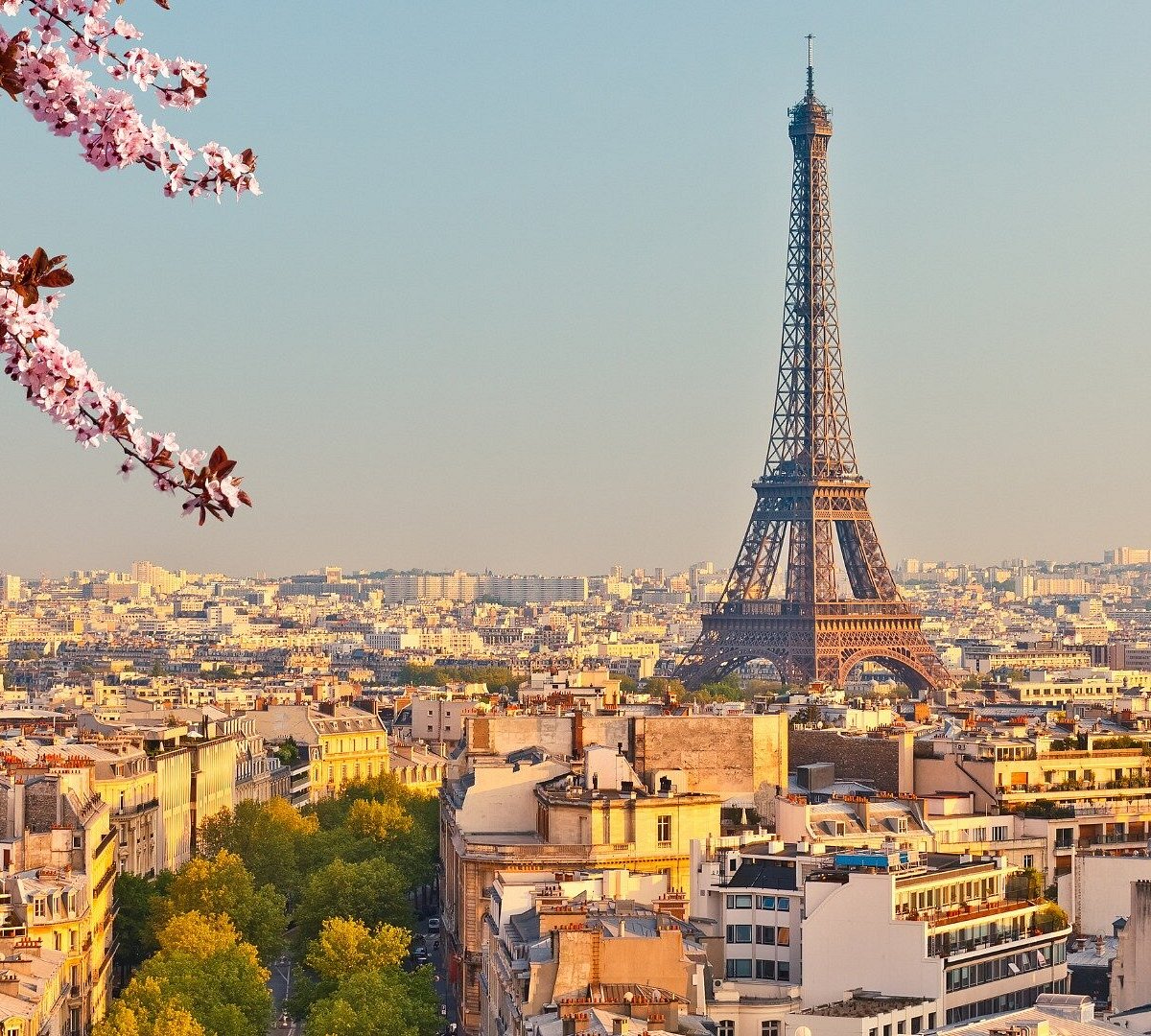 tripadvisor tour paris