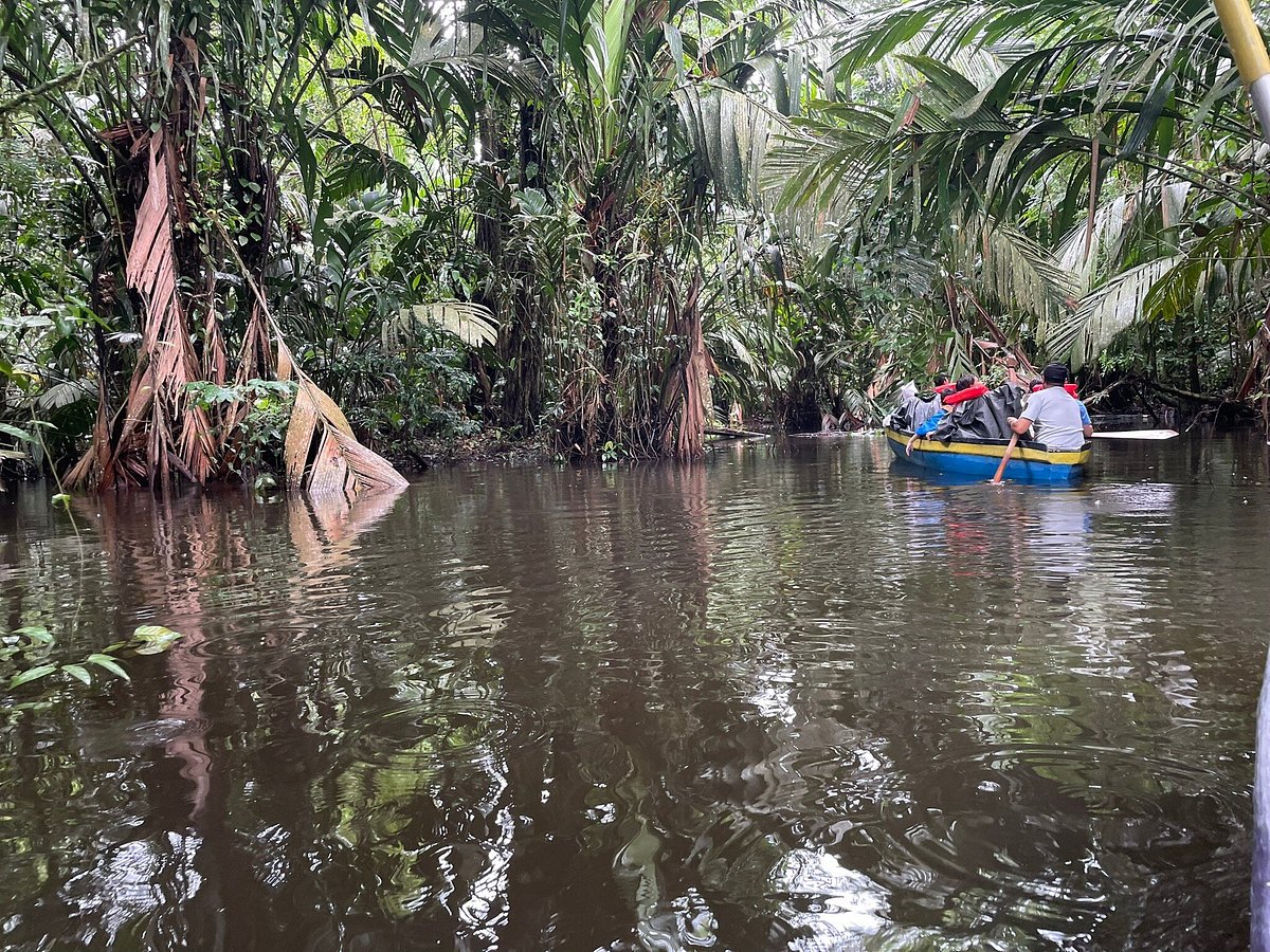 tortuguero nature tours