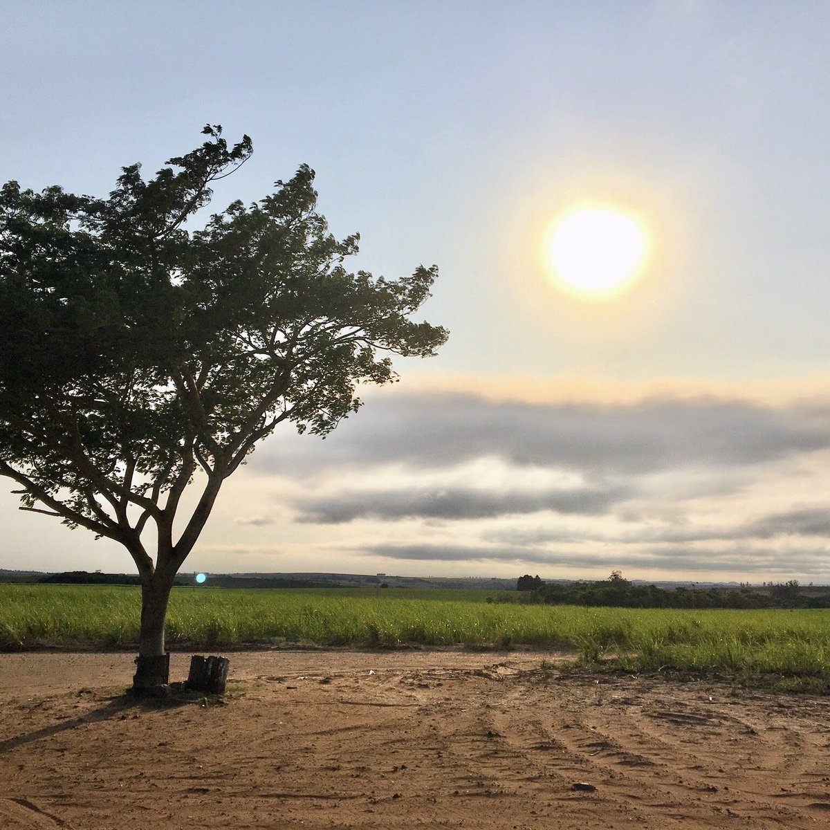 Trilha Da Serra Da Biquinha (Mineiros do Tiete, Brazil): Address ...