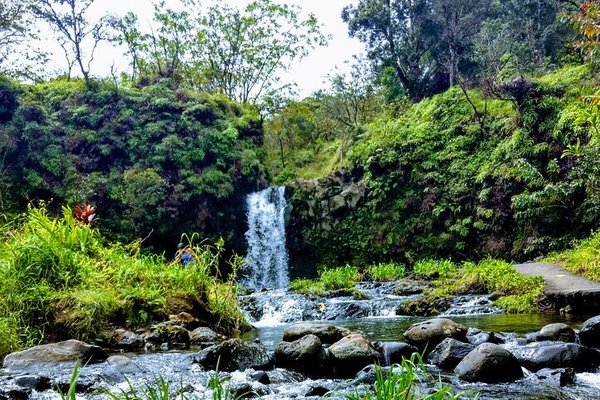 Escape to Paradise: Kaumahi'na State Wayside Park, Your Hawaiian Oasis