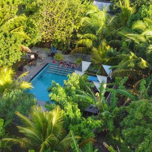 greenery around the pool