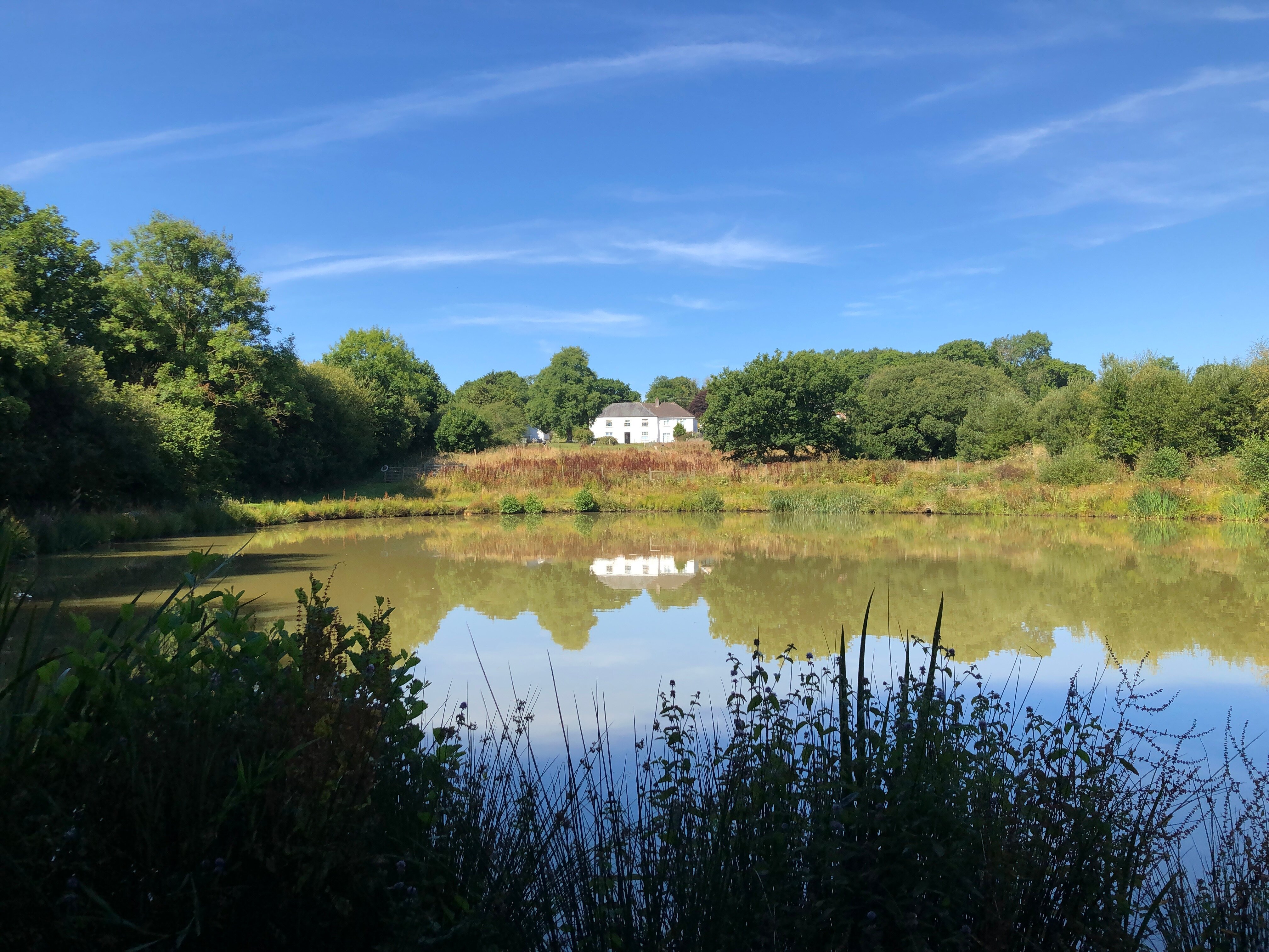 LEWORTHY FARMHOUSE - Prices & B&B Reviews (Holsworthy, Devon, UK)