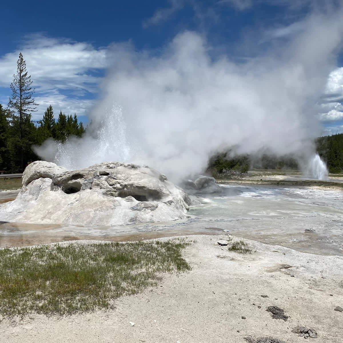 GROTTO GEYSER (Yellowstone National Park) - All You Need to Know BEFORE ...