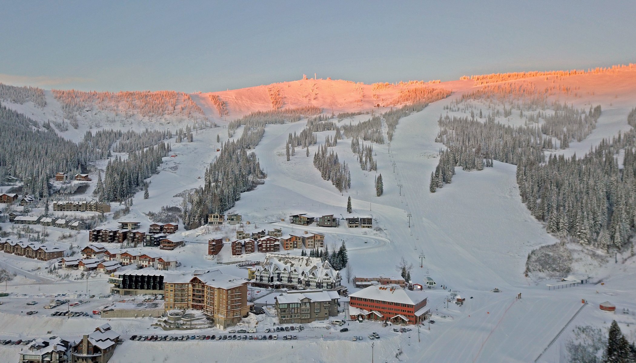 Schweitzer by null
