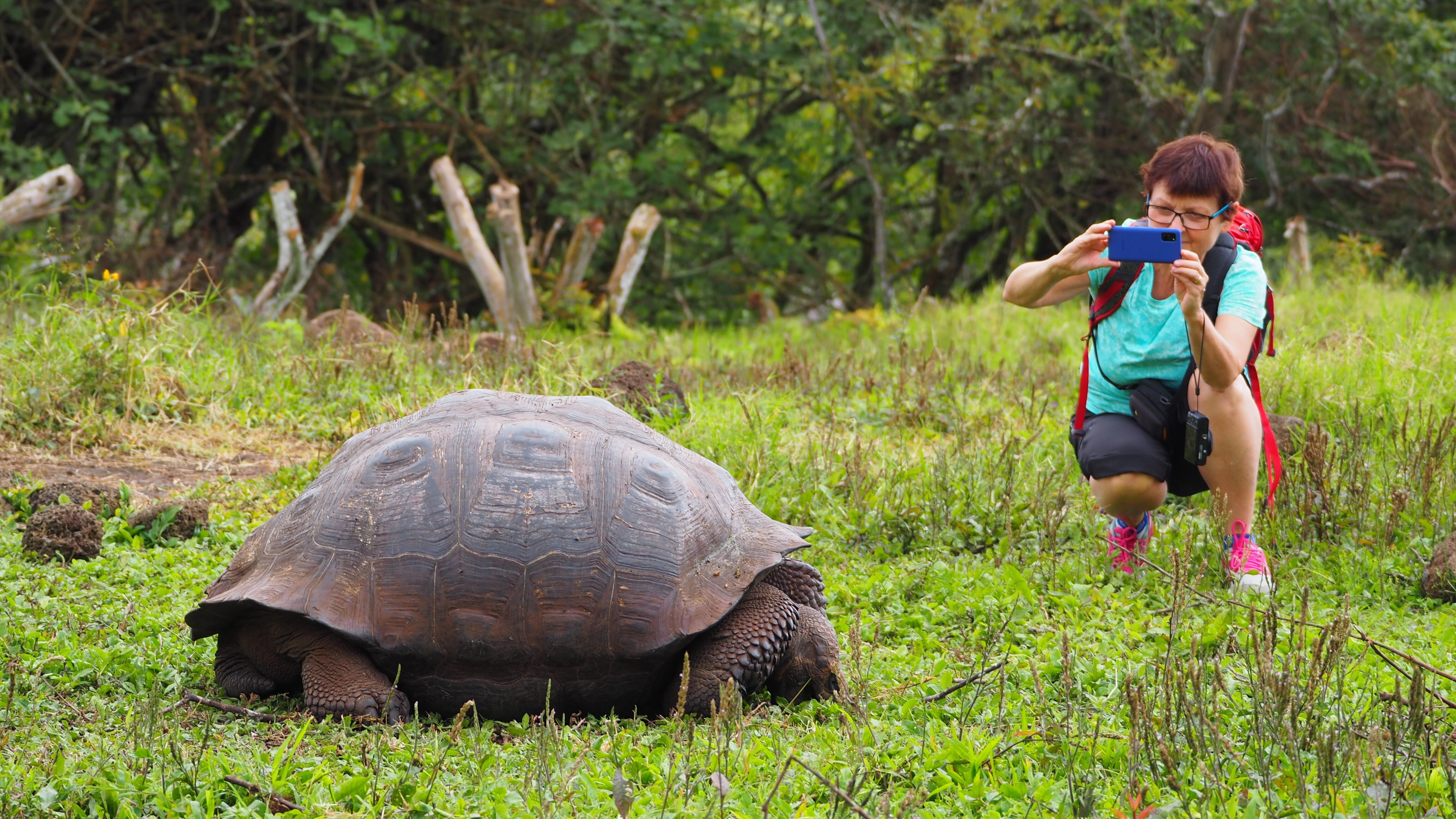 Galapagos Path (Puerto Ayora): All You Need To Know