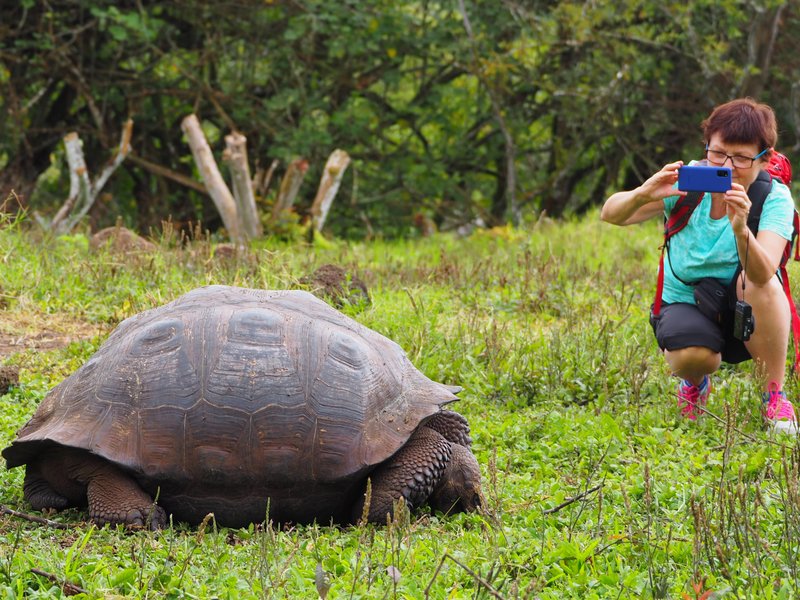 Puerto Ayora, Ecuador 2023: Best Places to Visit - Tripadvisor