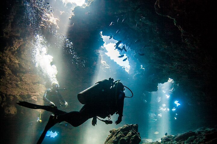 Plongée sous-marine et snorkeling, Hawaï, 2024