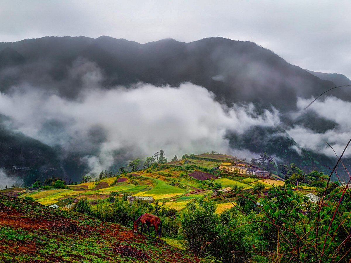 trek the himalayas rishikesh uttarakhand