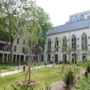 Jardin paysager et potager en cœur d’ilot.