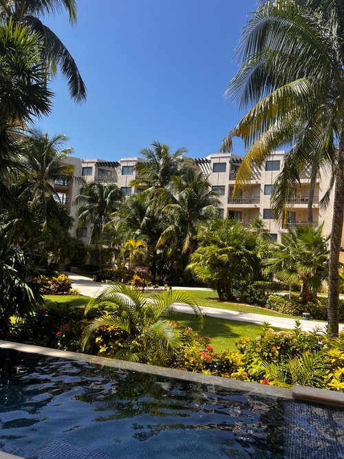 dreams riviera cancun tripadvisor