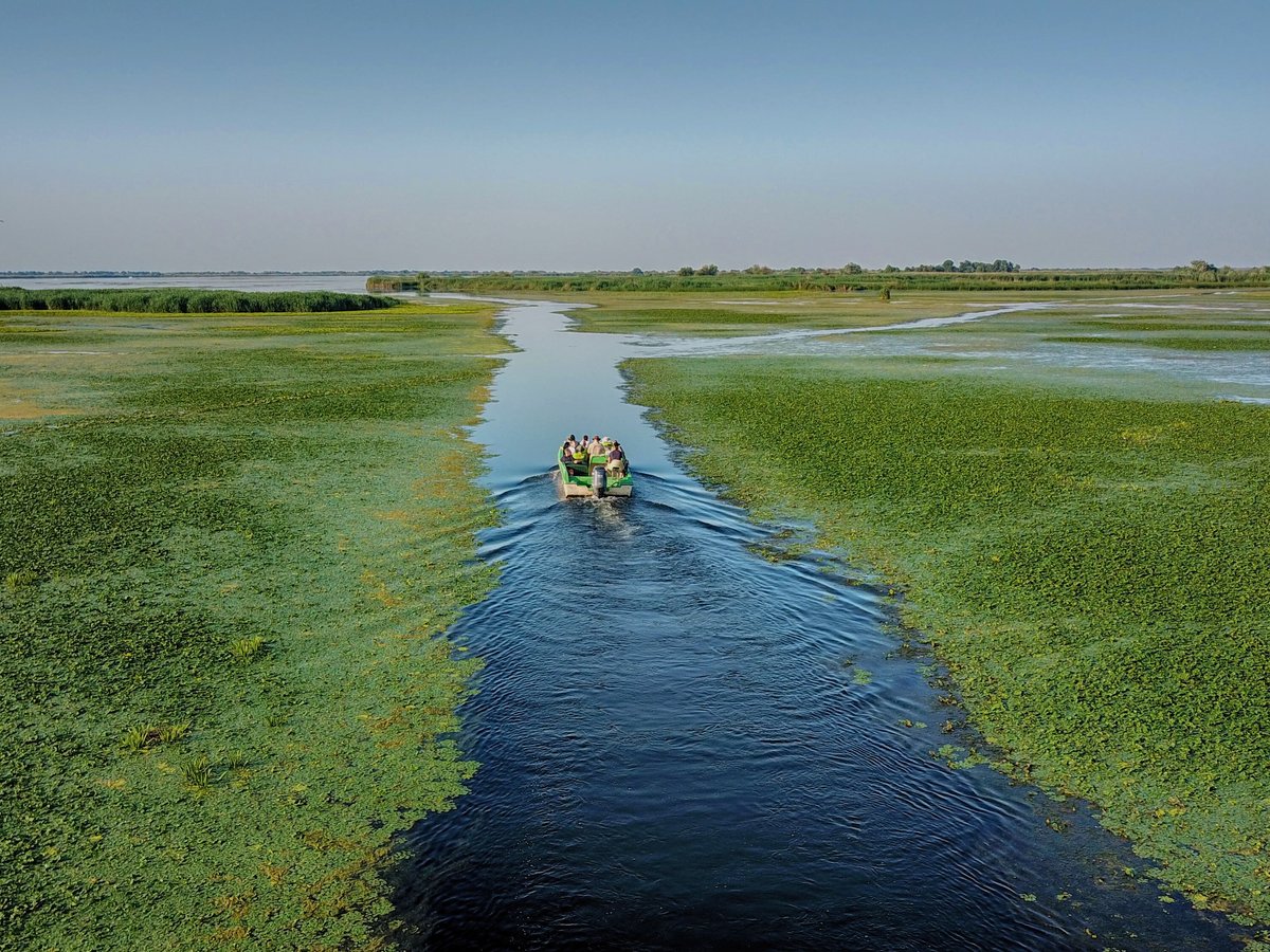 Discover Danube Delta - All You Need to Know BEFORE You Go (2024)