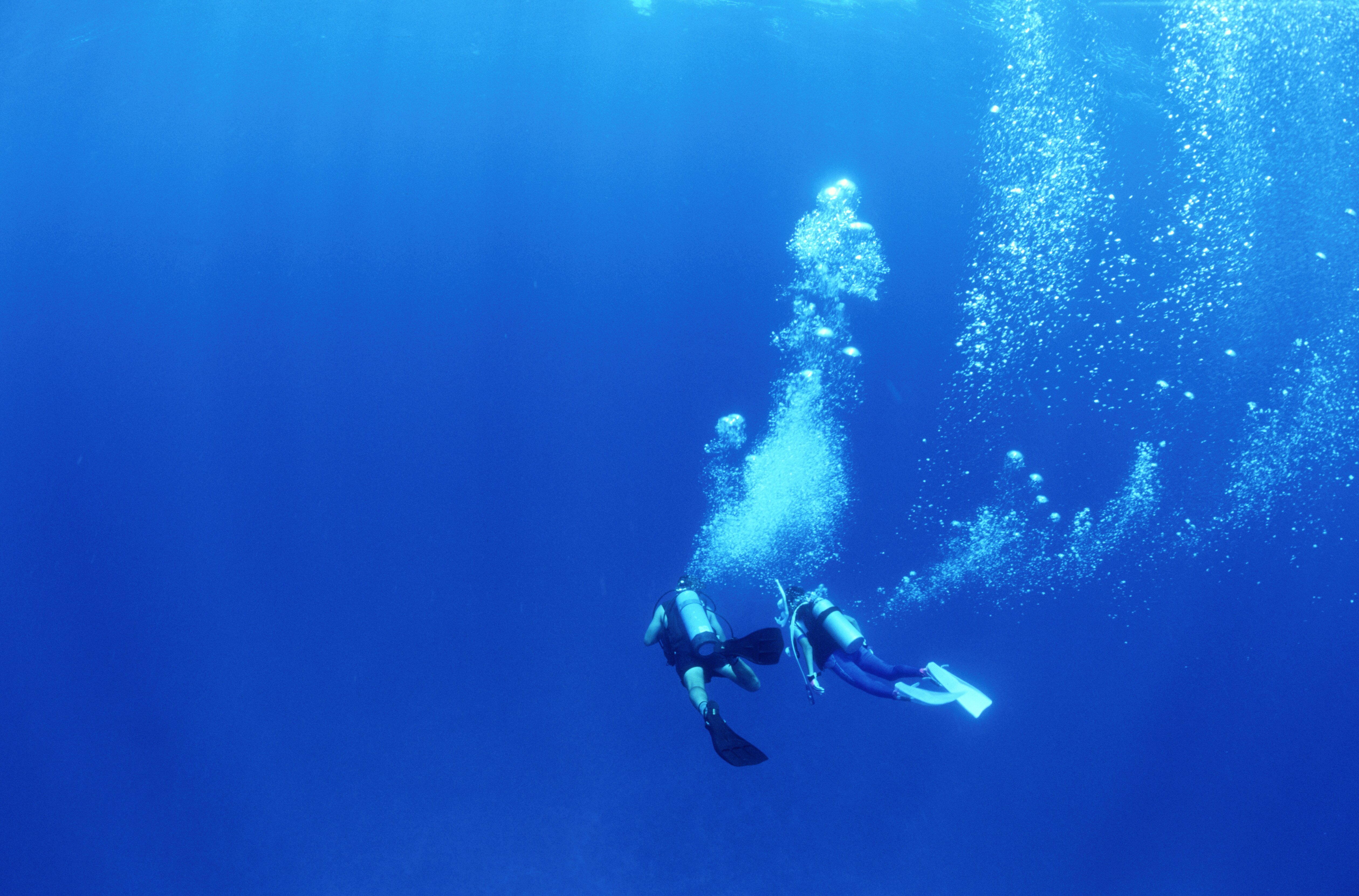 Scuba Dive Costa Rica (Tamarindo) - ATUALIZADO 2022 O Que Saber Antes ...