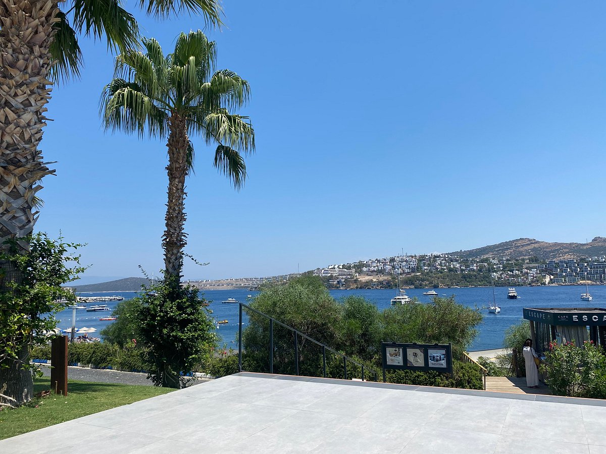 BAIA BODRUM HOTEL (Турция/Гундоган) - отзывы, фото и сравнение цен -  Tripadvisor