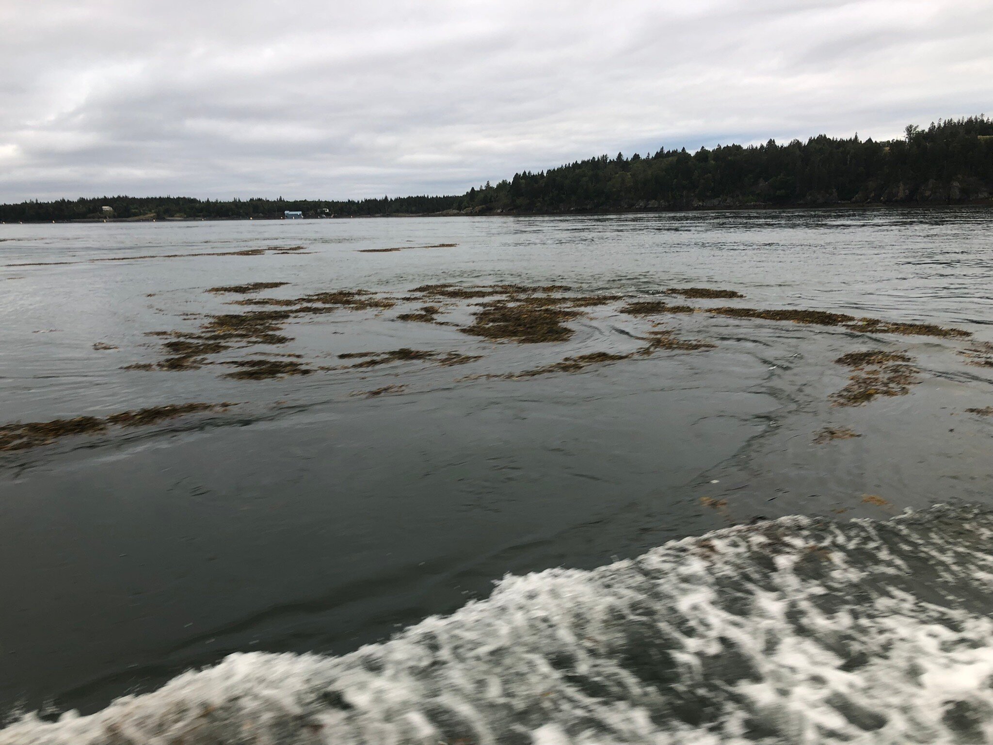 Downeast Charter Boat Tours (Lubec) All You Need to Know BEFORE You Go