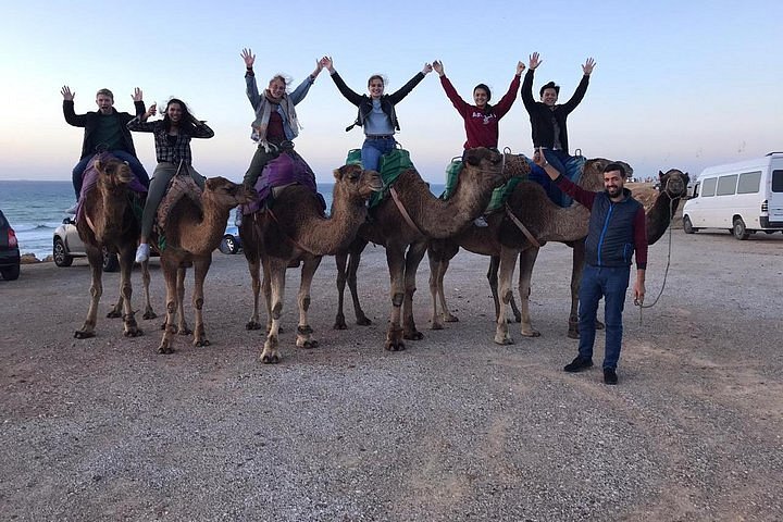 tangier camel tour