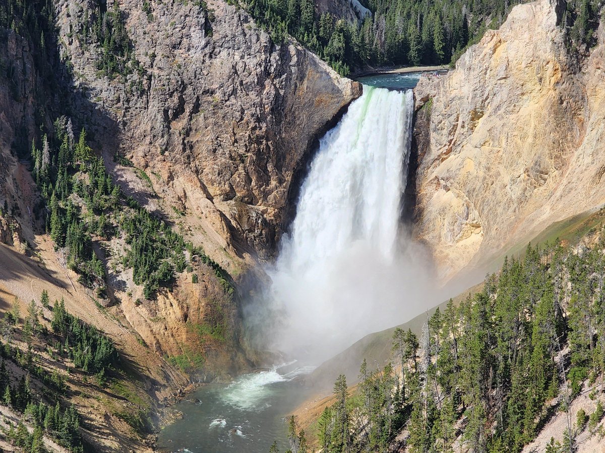 Yellowstone Wild (Yellowstone National Park) - All You Need to Know ...