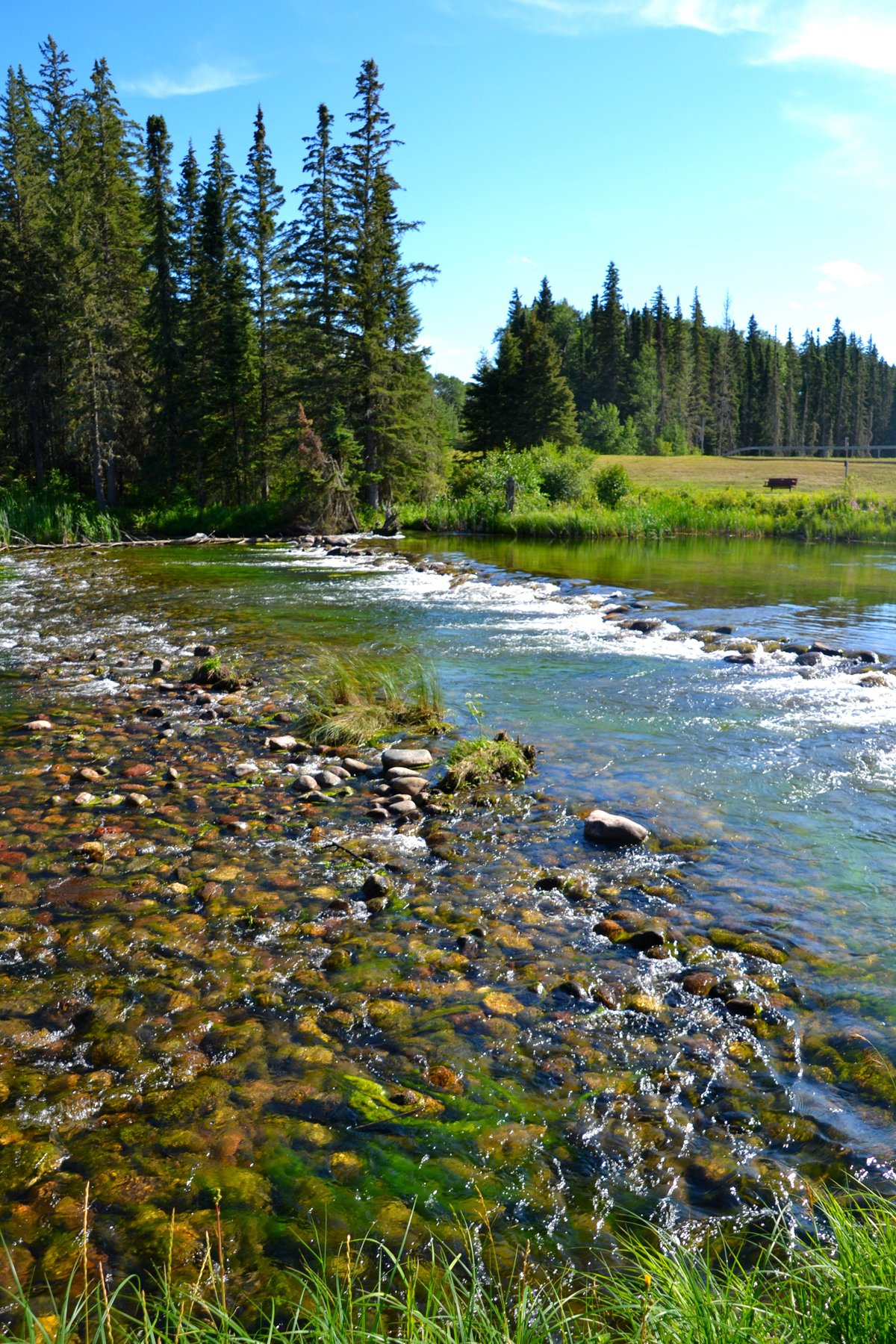 Waskesiu River Trail - All You Need to Know BEFORE You Go (2024)