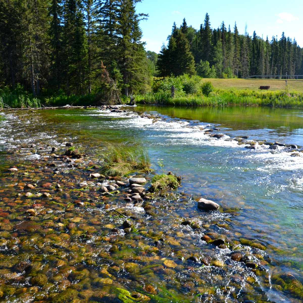 Waskesiu River Trail (waskesiu Lake) - All You Need To Know Before You Go