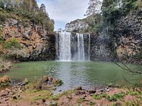 are dogs allowed at dangar falls