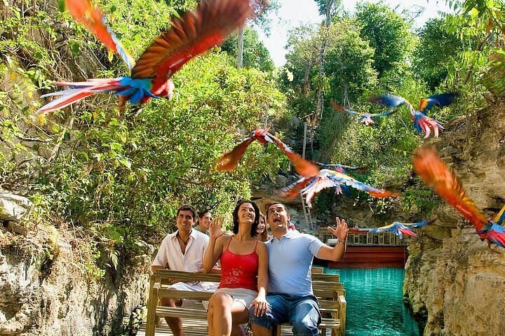 xcaret cancun tripadvisor