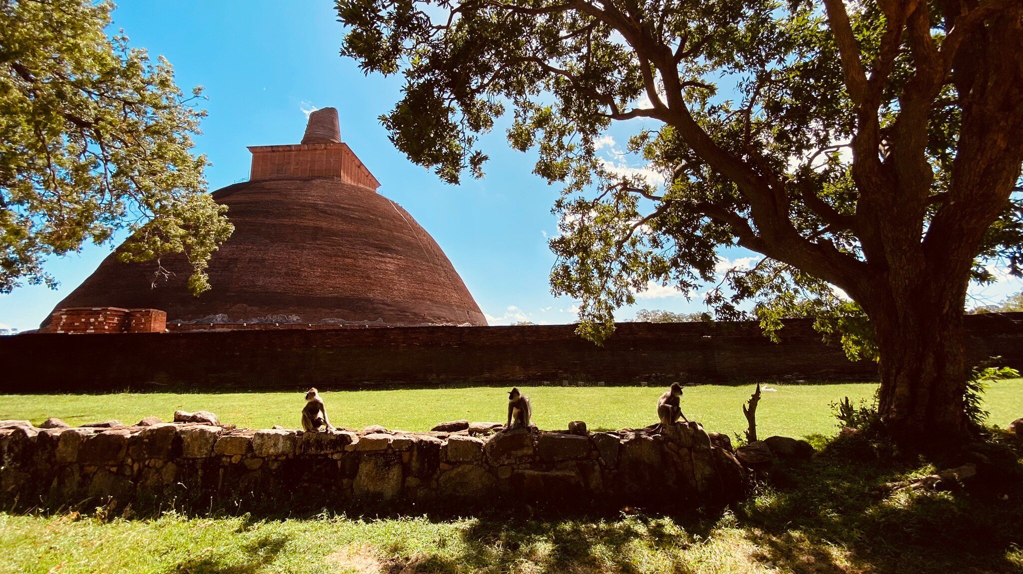 Yaluwa Tourist Rest and cookari class . image