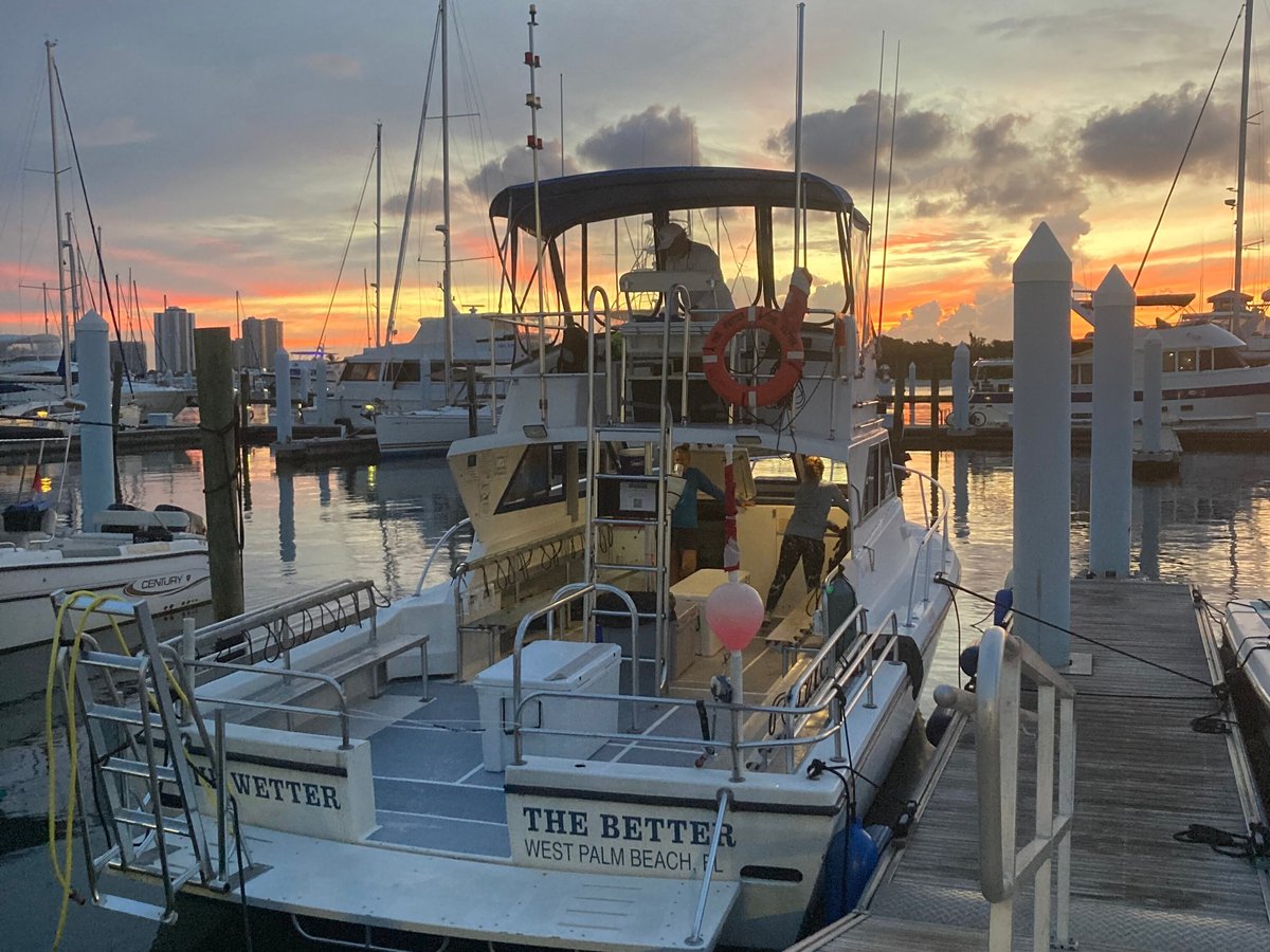 WALKER'S DIVE CHARTERS (Palm Beach Gardens) Ce qu'il faut savoir