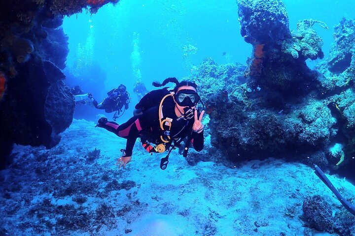 Amazon.com: BluScenes: Underwater Cozumel 1080p HD Blu-ray