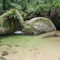 Mossman Gorge (Daintree Region) - All You Need to Know BEFORE You Go