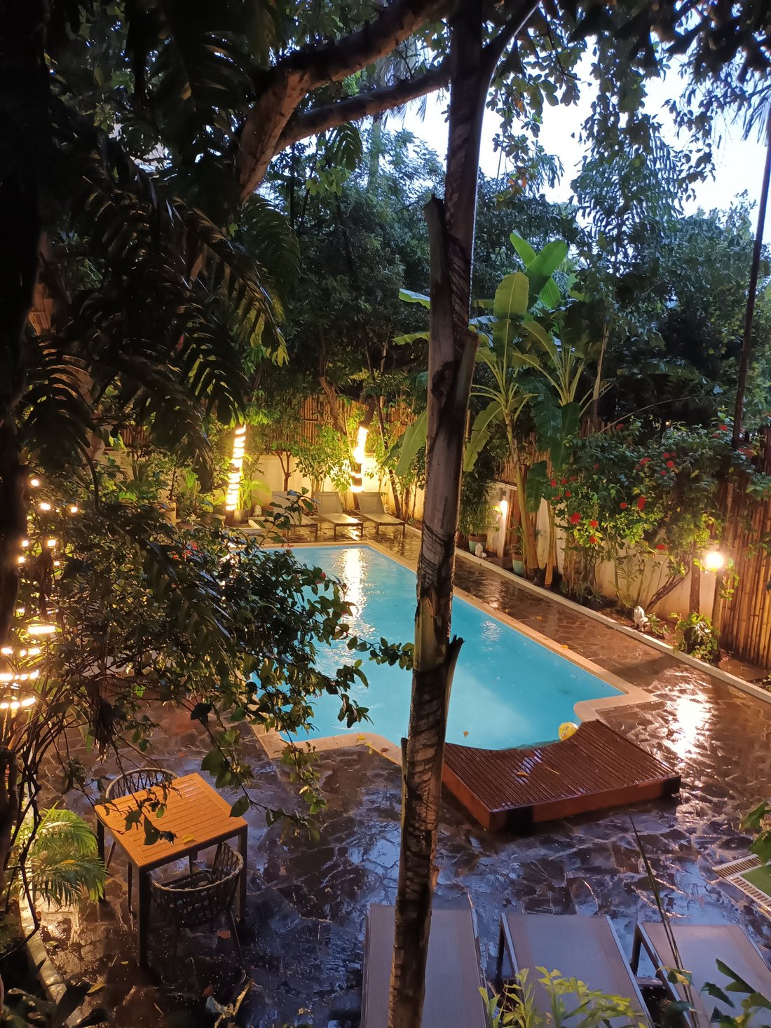 JUNGLE ADDITION HOTEL $46 ($̶6̶7̶) - Updated 2022 Prices & Reviews ...