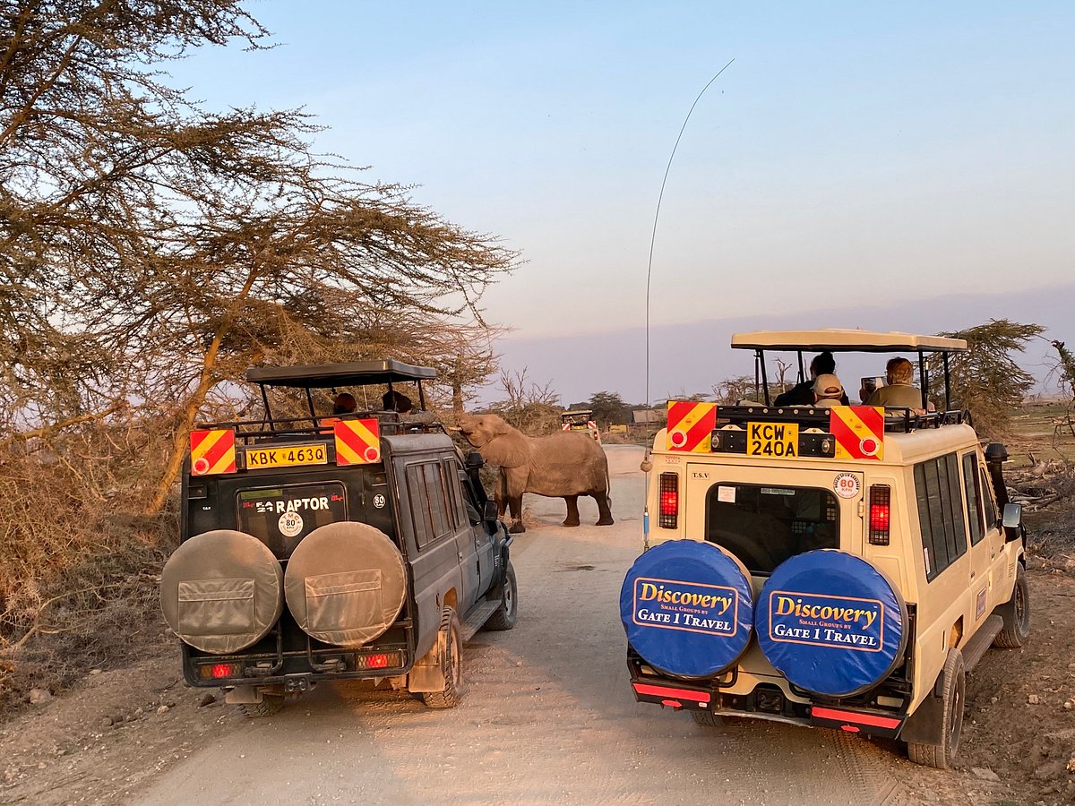 skylax tours and safaris