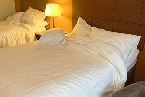 Room & Suite