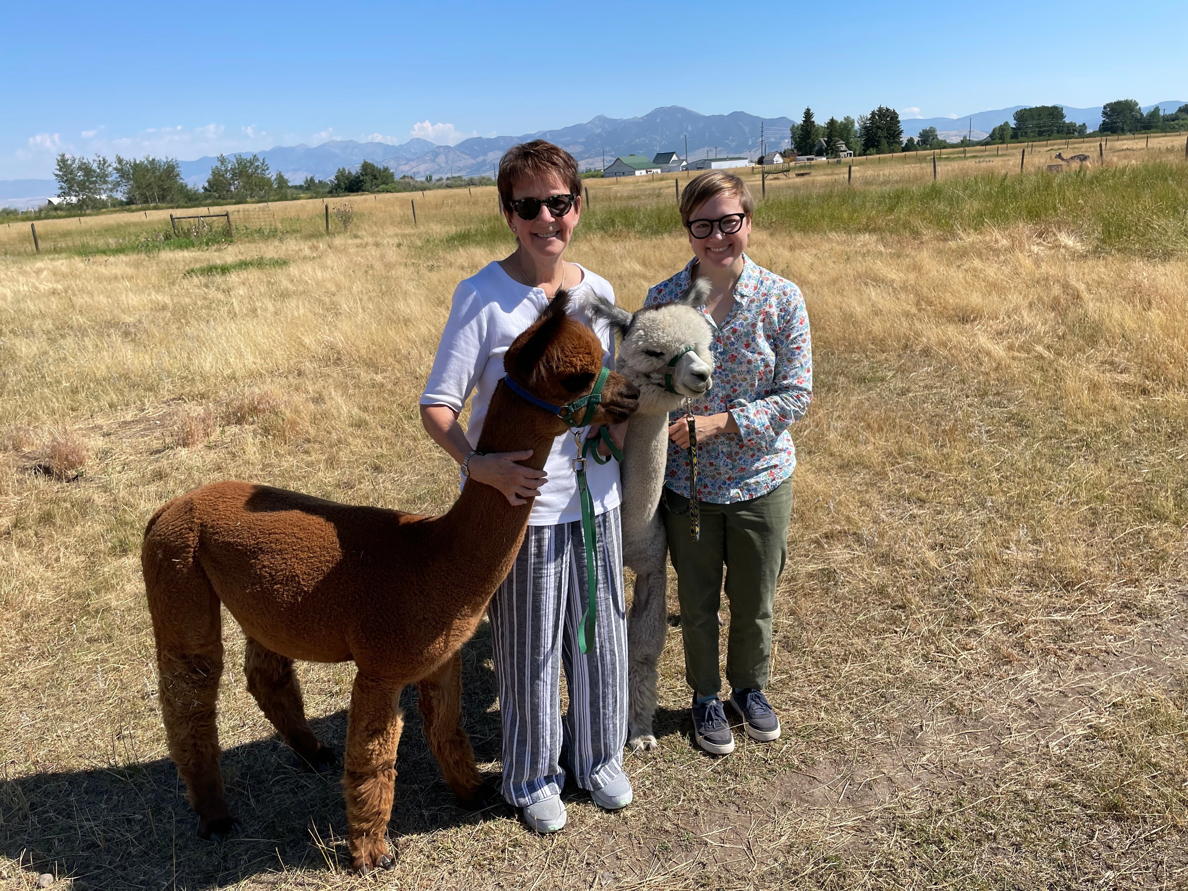 Tripadvisor | Tour Granja De Alpacas Y Llamas | Bozeman, MT