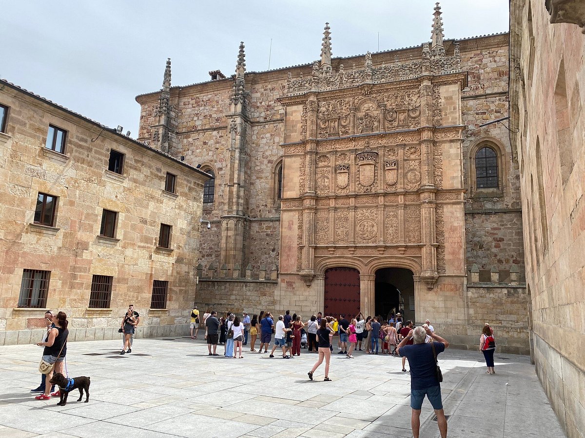 Free Tour Salamanca All You Need To Know Before You Go 1236