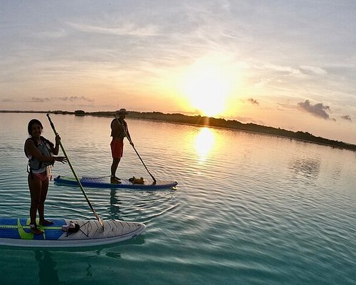 THE 5 BEST Bacalar Stand-Up Paddleboarding (with Photos)