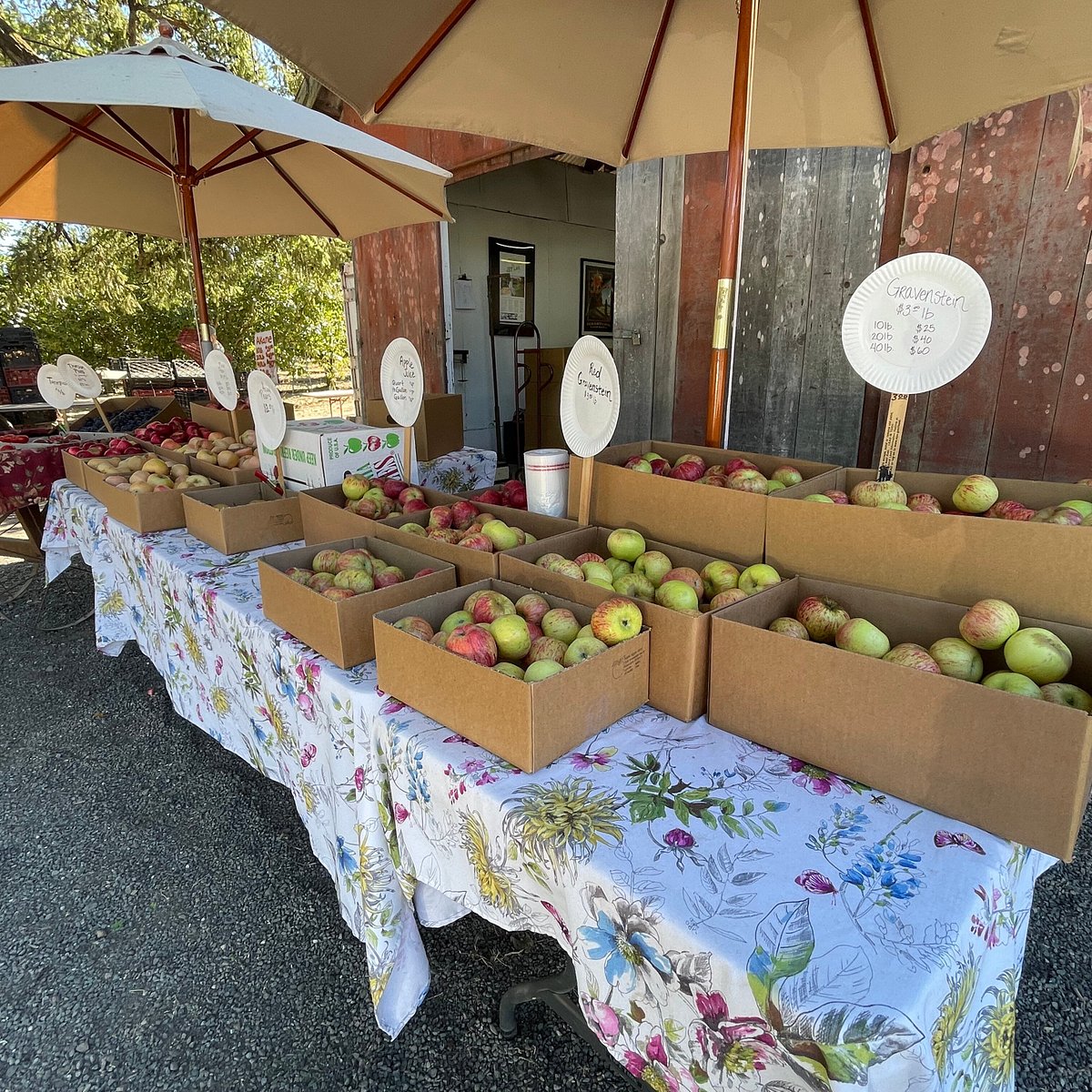 Pink Lady Apples(per pound) from Beech Creek Orchards (Local-not organic)