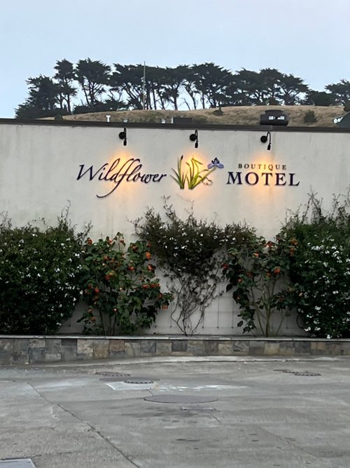 WILDFLOWER BOUTIQUE MOTEL Updated 2022 Prices & Hotel Reviews (Point