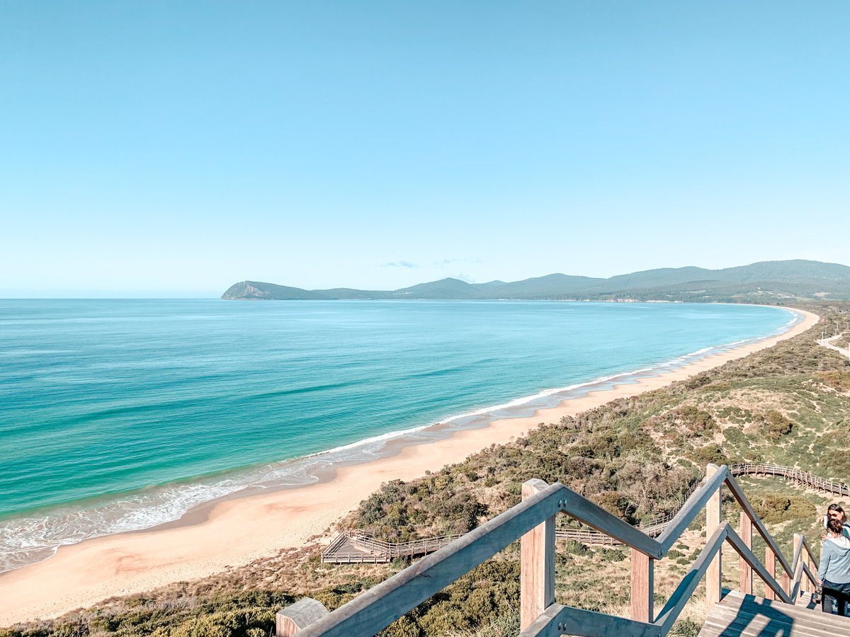 2024年 Tassie Tours Tasmania 出発前に知っておくべきことすべて トリップアドバイザー 3118