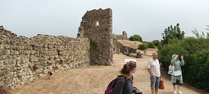 are dogs allowed in hastings castle