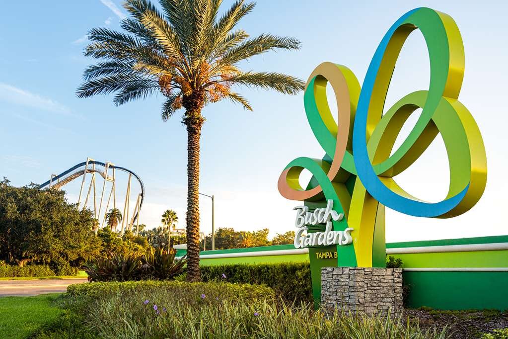 Hotel photo 52 of Hyatt Place Tampa/Busch Gardens.
