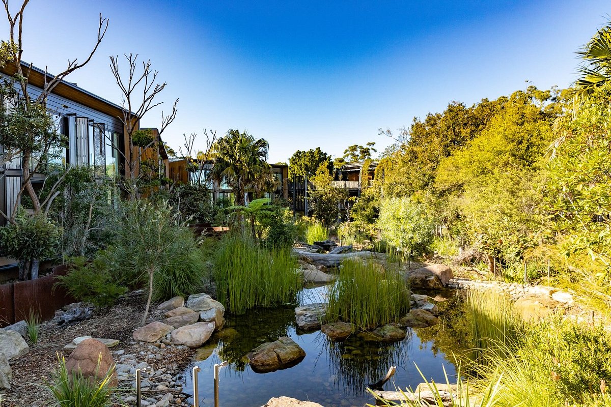 25 Einzigartige ECO LODGES: Resorts, Hütten, Baumhäuser, Kuppeln 14 ecolodge Australia - Wildlife Retreat Taronga