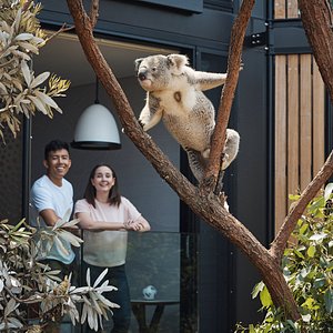 Wildlife Retreat at Taronga, hotel in Sydney