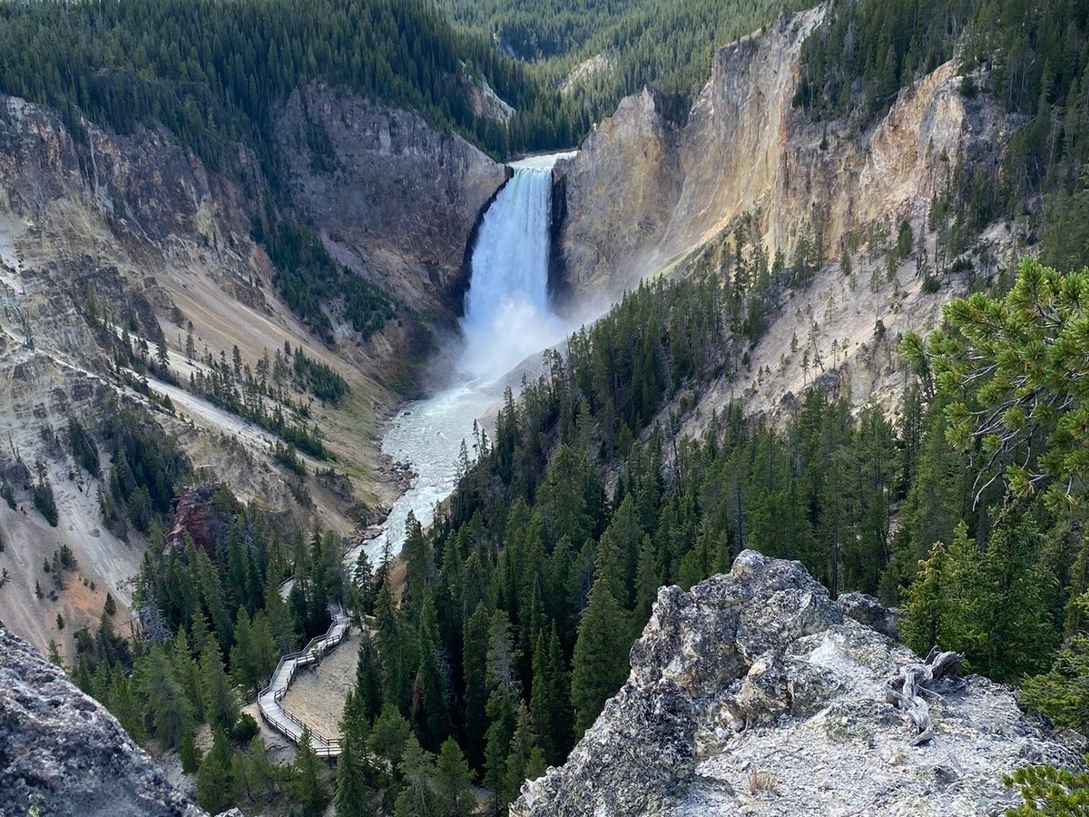 Yellowstone Luxury Tours (Big Sky) - All You Need to Know BEFORE You Go