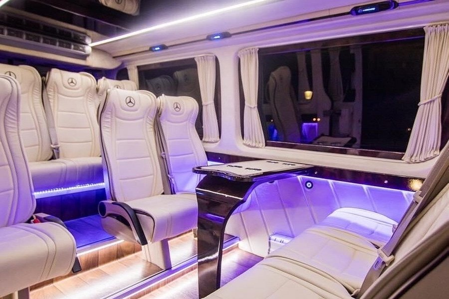 elite vip travel mini van