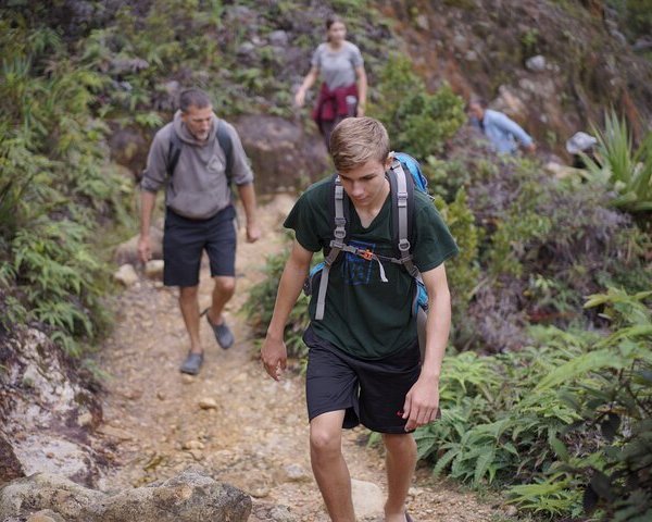 Jungle Trekking