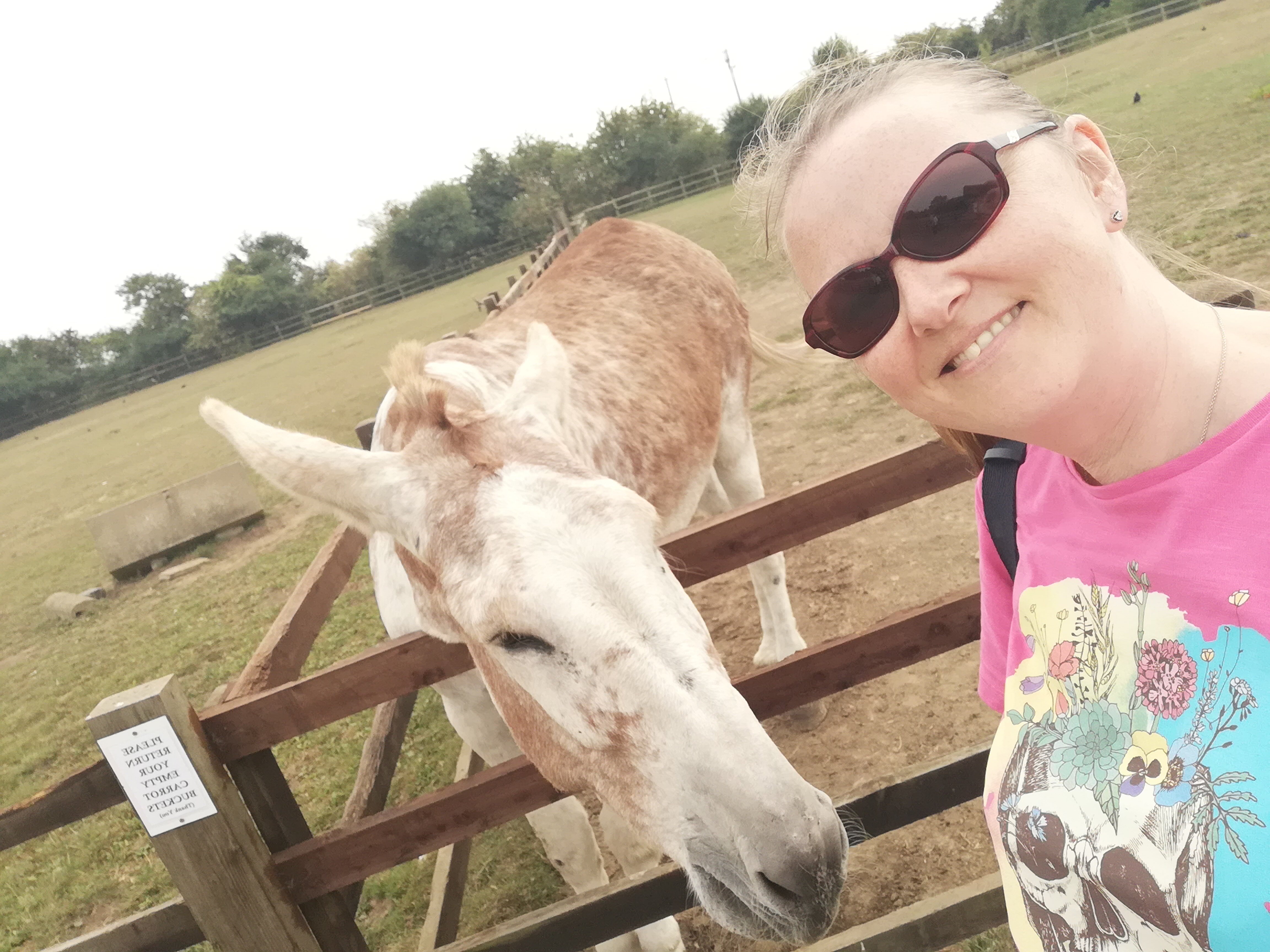 Radcliffe Donkey Sanctuary (Huttoft) - All You Need To Know BEFORE You Go