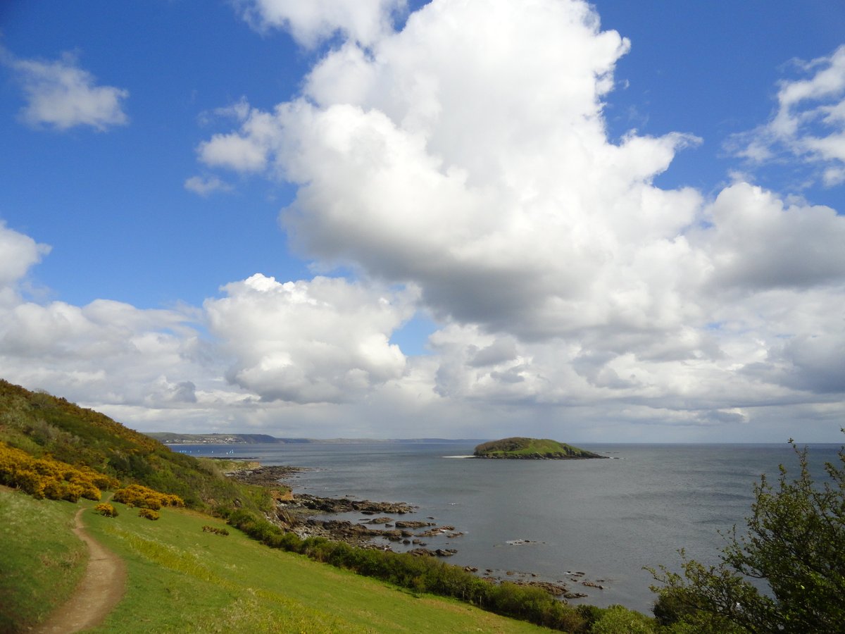 Looe Island, Лоо: лучшие советы перед посещением - Tripadvisor