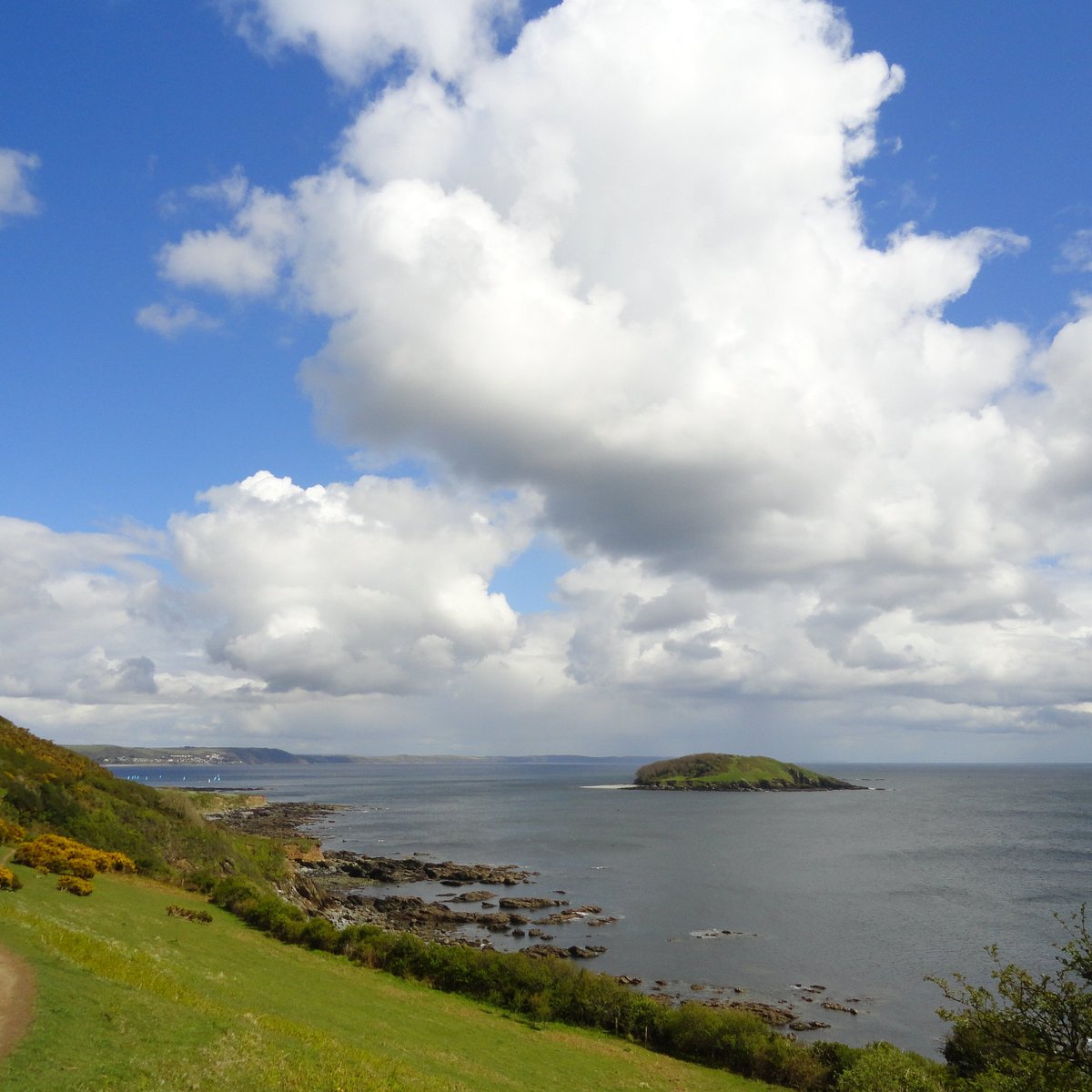 Looe Island, Лоо: лучшие советы перед посещением - Tripadvisor