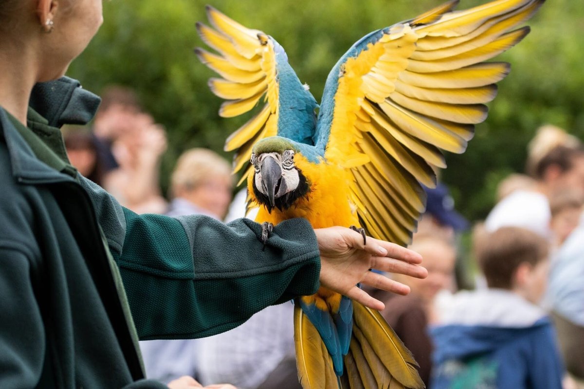 Willows Bird of Prey Centre - The Hiker